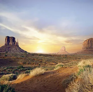 Arizona